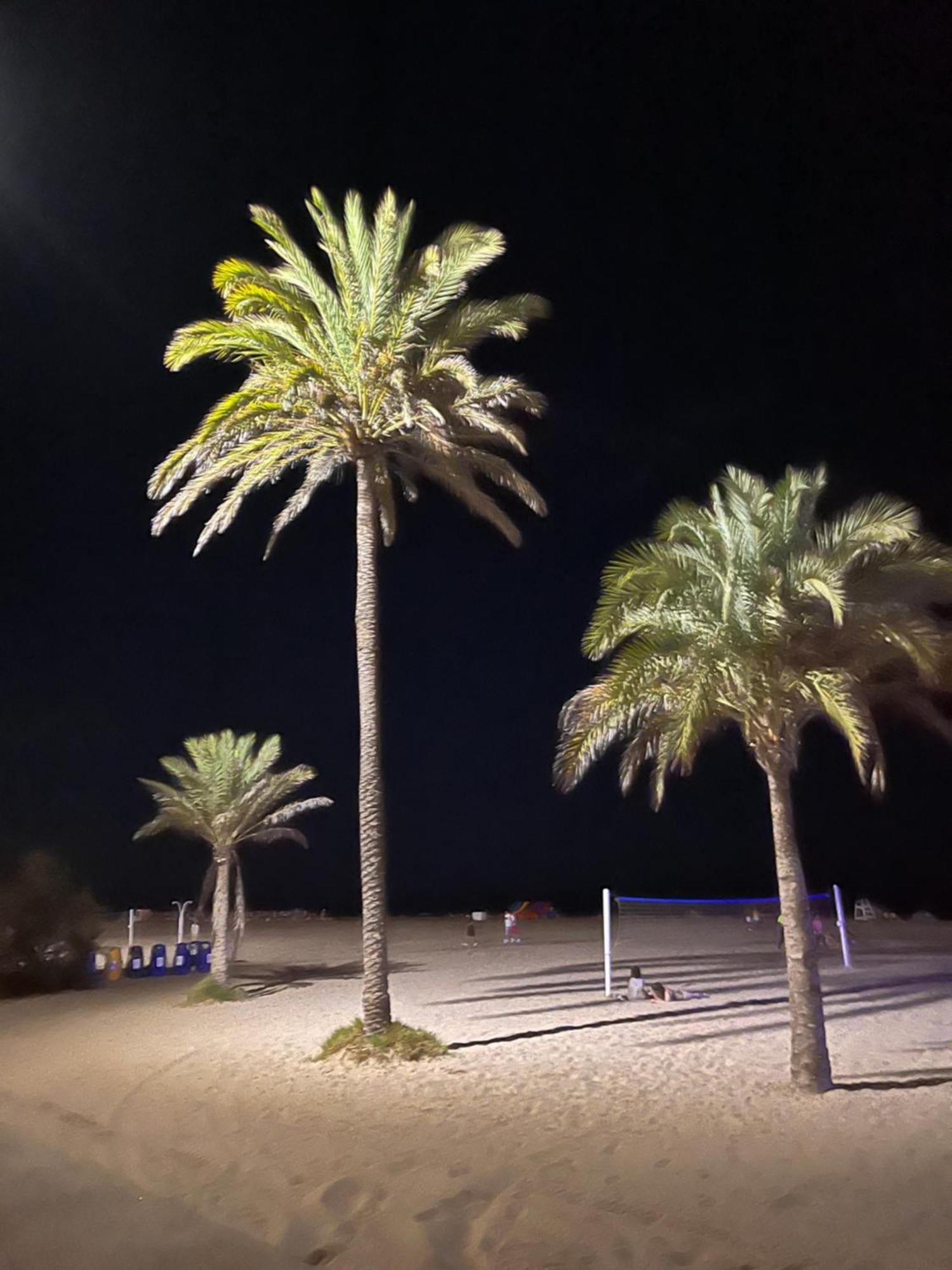 Casa Del Mar 1, Gandia Port With Sea View Daire Dış mekan fotoğraf